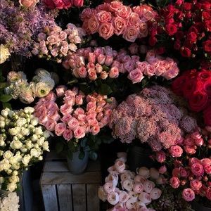 Meet your Posher, Andrea